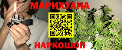 гидра Шахты