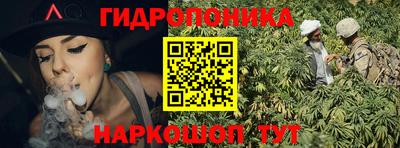 гидра Шахты