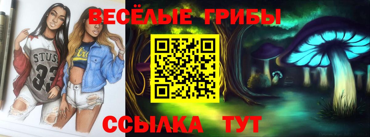 Фролово  Галлюциногенные грибы мухоморы  Вход с VPN 